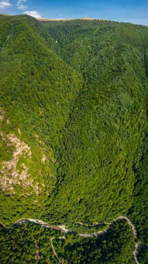 Gilort Vadisi ve Parang Dağları 'nın tepeleri üzerinde dikey insansız hava aracı manzarası. Eski, yeşil kayın ağaçları dağın yamaçlarını kaplıyor. Carpathia, Romanya, Yaz.