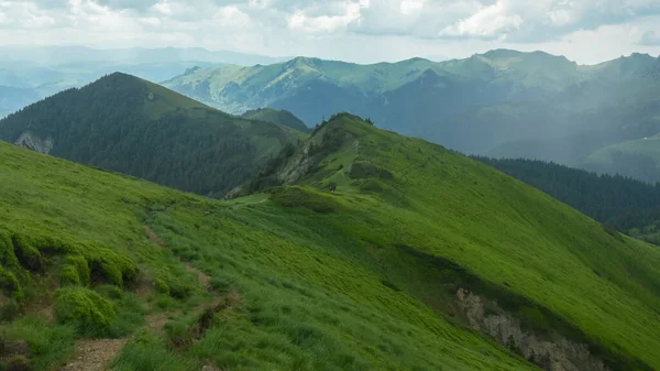 乔卡斯山高原草原上的阴霾多雨的天气 倾斜陡峭的山岗被大雨覆盖着 罗马尼亚喀尔巴阡山 — 图库照片
