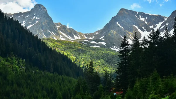 Fagaras Dağları Nın Keskin Sarp Karlı Dağ Zirveleri Yeşil Bir — Stok fotoğraf