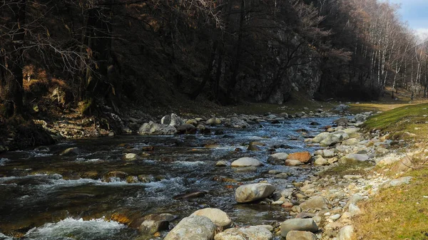 Río Montaña Que Fluye Rápidamente Sobre Lecho Rocoso Largo Bosque — Foto de Stock