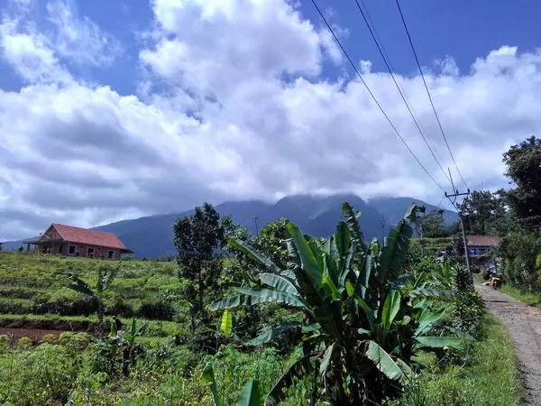Helle Indonesische Felder Mit Berg Haus Und Straßenblick — Stockfoto