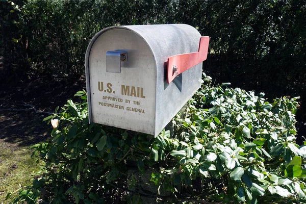 Mail Mailbox Post Surrounded Greenery — стокове фото