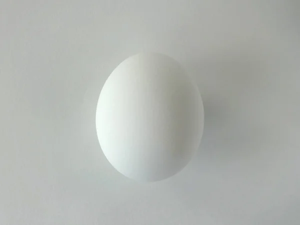 Single White Egg White Background — Stockfoto