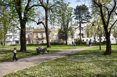 Parkta ağaçlar ve küçük çiçekler açtı. Belgrad 'da Kalemegdan.