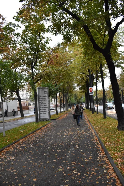 Autumn Cityscape Pedestrian Walkway Roadway — 스톡 사진