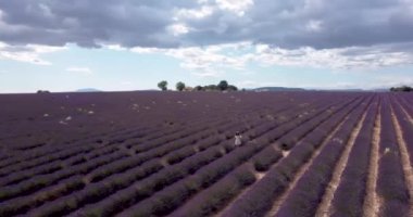 Tourist girl exploring the scenic nature of Provence France July 2021. Aerial