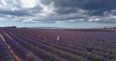 Tourist girl exploring the scenic nature of Provence France July 2021. Aerial