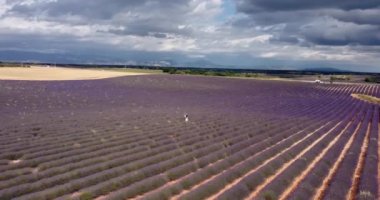 Tourist girl exploring the scenic nature of Provence France July 2021. Aerial