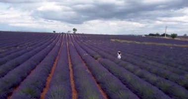 Tourist girl exploring the scenic nature of Provence France July 2021. Aerial