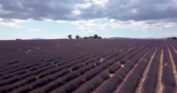 Tourist girl exploring the scenic nature of Provence France July 2021. Aerial — Stock video