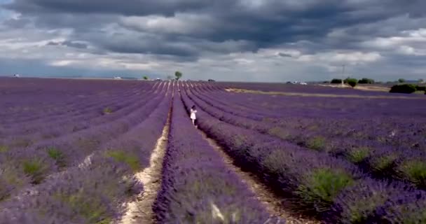 Tourist girl exploring the scenic nature of Provence France July 2021. Aerial — стоковое видео