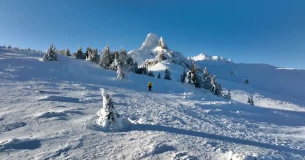 Person, die auf dem Berg geht. Ciucas Rumänien im Januar 2022. — Stockvideo