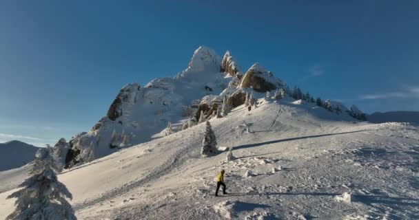 Vlieg over en rond de bergen van Ciucas Roemenië in januari 2022 Zonnige dag. — Stockvideo