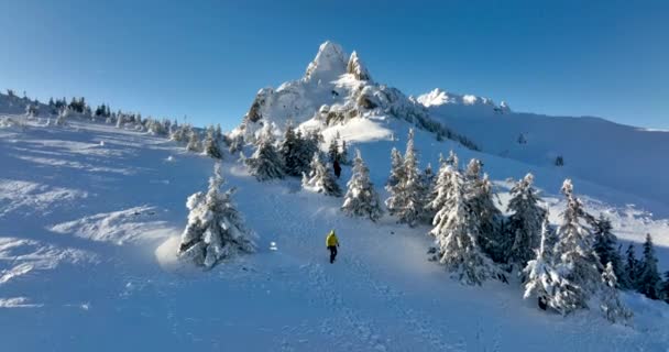 Osoba spacerująca po górach. Ciucas Rumunia w styczniu 2022 Słoneczny dzień. — Wideo stockowe
