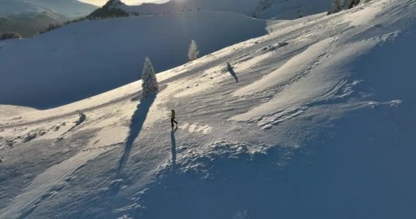 Vlieg over en rond de bergen van Ciucas Roemenië in januari 2022 Zonnige dag. — Stockvideo