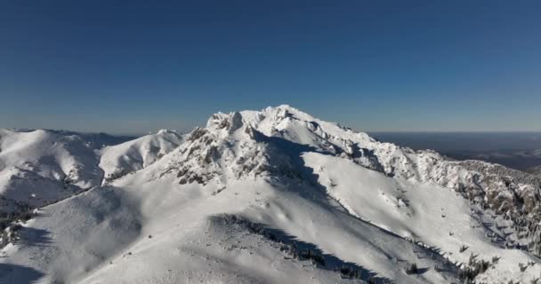 Volar sobre y alrededor de las montañas de Ciucas Rumania en enero 2022 Día soleado. — Vídeo de stock