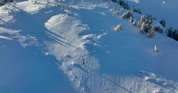 Volar sobre y alrededor de las montañas de Ciucas Rumania en enero 2022 Día soleado. — Vídeos de Stock