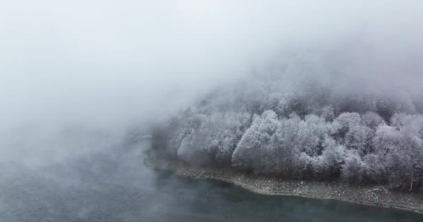 아름다운 호수를 드론으로찍은 거야. 겨울 안개낀 풍경. 루마니아 2021 년 12 월 — 비디오