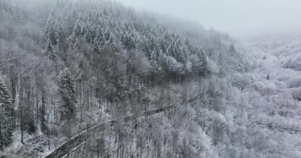 Drohnenaufnahmen einer schönen nebligen Winterlandschaft. Rumänien Dezember 2021 — Stockvideo