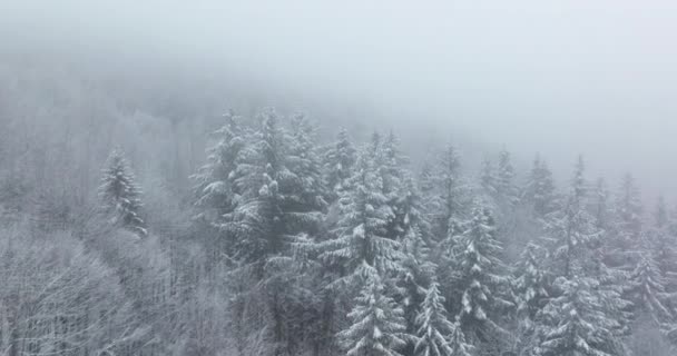 Drohnenaufnahmen einer schönen nebligen Winterlandschaft. Rumänien Dezember 2021 — Stockvideo