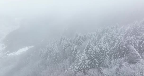 Сніданок з прекрасного зимового туманного краєвиду. Румунія грудень 2021 — стокове відео