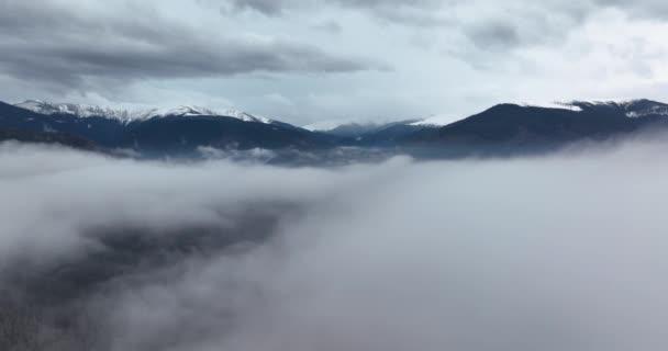 Langzaam bewegende drone schiet in dikke mist in de ochtend. Bergen op de achtergrond — Stockvideo
