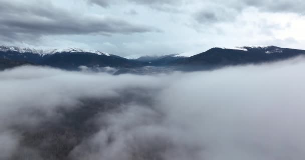 O drone em movimento lento dispara no nevoeiro grosso de manhã. Montanhas no fundo — Vídeo de Stock