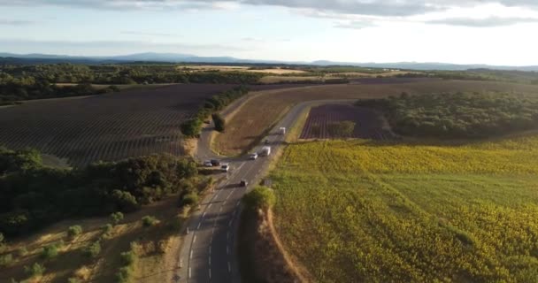 Letecký - Panoramatický záběr aut jedoucích poblíž Valensole, Francie před západem slunce — Stock video