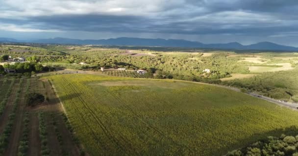 空中-法国华伦太尔附近的土地和房屋的全景拍摄 — 图库视频影像