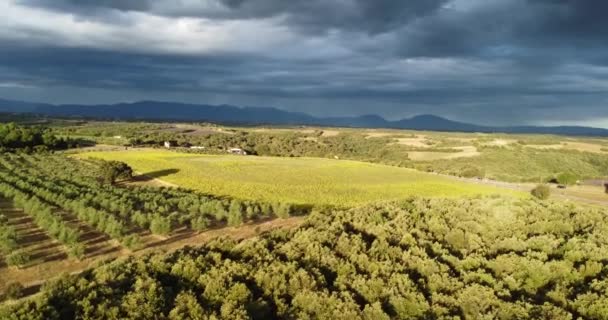 空中-法国华伦太尔附近的土地和房屋的全景拍摄 — 图库视频影像
