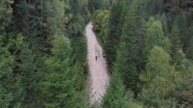 Romen yürüyüşçü, yaz aylarında dağda bir yürüyüşçünün izleme görüntüsünü çekiyor