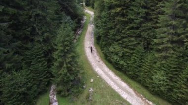 Arka insansız hava aracı görüntüsü yürüyüşçüyü yazın vadide bir patikada yürütür.