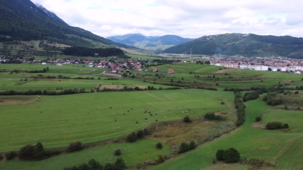Drone footage of a rural village in the background in Zarnesti, Romania — Stock video