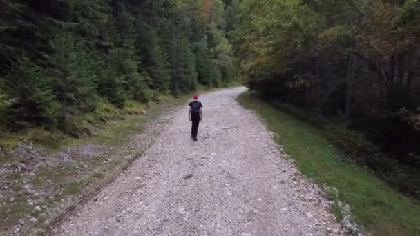 Een wandelaar op een Trail in Brasov, Roemenië Foothills Mountains drone footage — Stockvideo