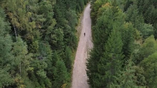 Aerial Epic shot of a man hiking on a mountain road. Enjoying the view — Stock videók