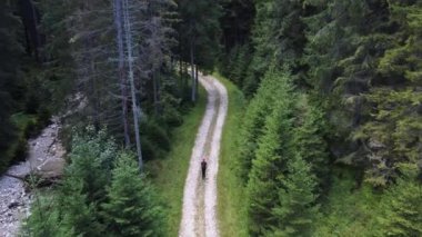 Genç Romen maceraperest gezginin yabanda yürüyüşünün insansız hava aracı görüntüsü