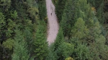 Yazın dağ yürüyüşü yapan bir adam. Yürüyüşçüler yürüyor. Spor etkinliği..