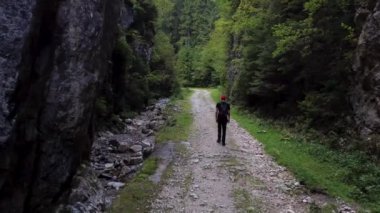 Orman parkında yürüyüşçü. Macera Yaşam Tarzı Bir Seyahat Ekvator Konsepti