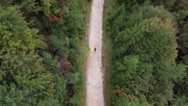 Top down aerial shot of an adventurous man hiking on a mountainside road — Stockvideo
