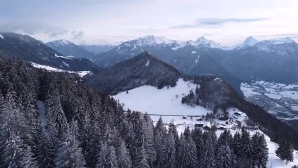 Flying through Trees Tops Paradise Heaven of a wonderful landscape in the Alps — Vídeo de stock