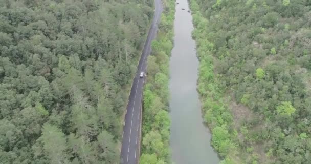 从空中看汽车穿过森林和湖边的景象. — 图库视频影像