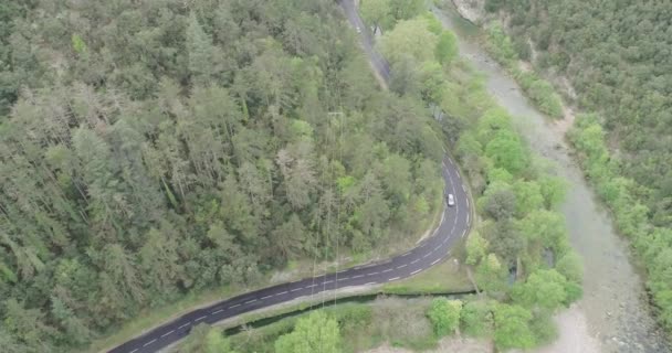 Auto rijdt op de weg tussen bomen in de buurt van het meer. Groen bos. Zonnige zomer — Stockvideo