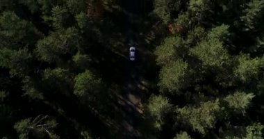 Akşamları ormandaki bir kır yolunda giden beyaz bir arabanın havadan aşağı 4K görüntüsü. Yüksek kaliteli 4K DJI Phantom 4 PRO İHA görüntüsü Haziran 2020 'de çekildi