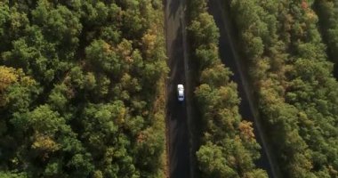 Yazın sık bir ormanda asfalt yol boyunca araba sürüyor. Yüksek kaliteli 4K DJI Phantom 4 PRO İHA görüntüsü Haziran 2020 'de çekildi