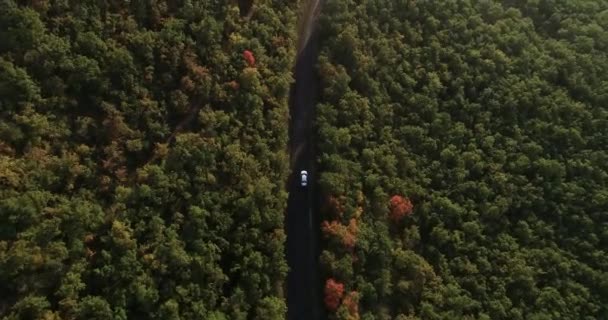 Vliegtuig Drone Boven Hoofd Van Een Auto Rijden Bochtige Bergweg — Stockvideo