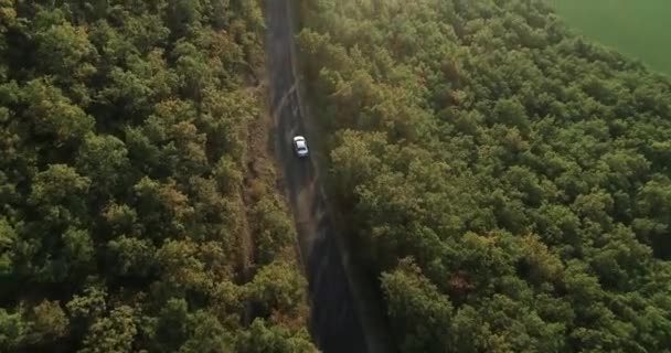 Top Luchtfoto Drone Beeld Van Een Auto Een Weg Door — Stockvideo