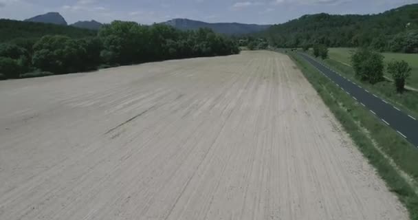 緑のフィールドと乾燥の空中ビュー 山に囲まれています 車が通りかかっている 高品質4K Djiファントム4 2020年5月にフランス南部で撮影されたPro映像 — ストック動画