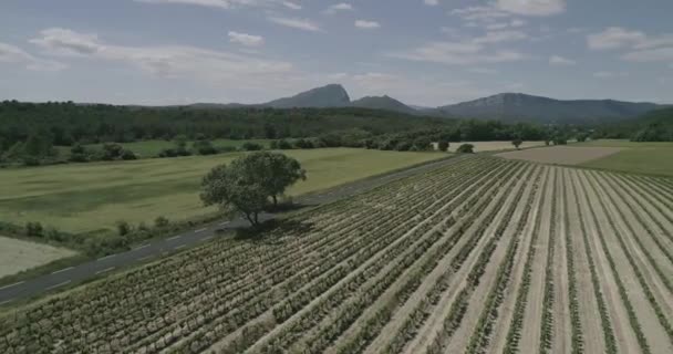 Aeronáutica Derribando Drones Camino Rural Que Revela Hermosa Vista Del — Vídeos de Stock