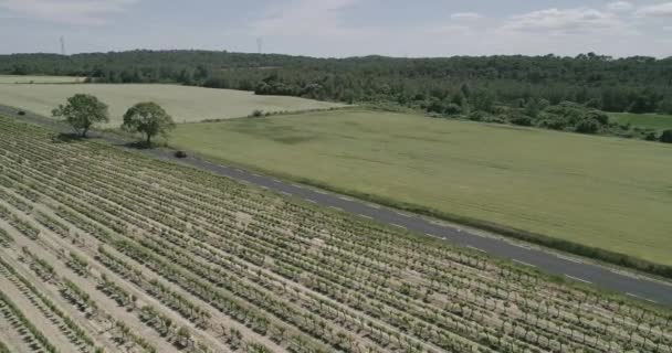 Aeronáutica Derribando Drones Camino Rural Que Revela Hermosa Vista Del — Vídeos de Stock