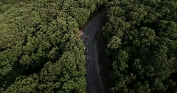Uitzicht Herfst Weg Met Auto Luchtfoto Van Een Landweg Een — Stockvideo